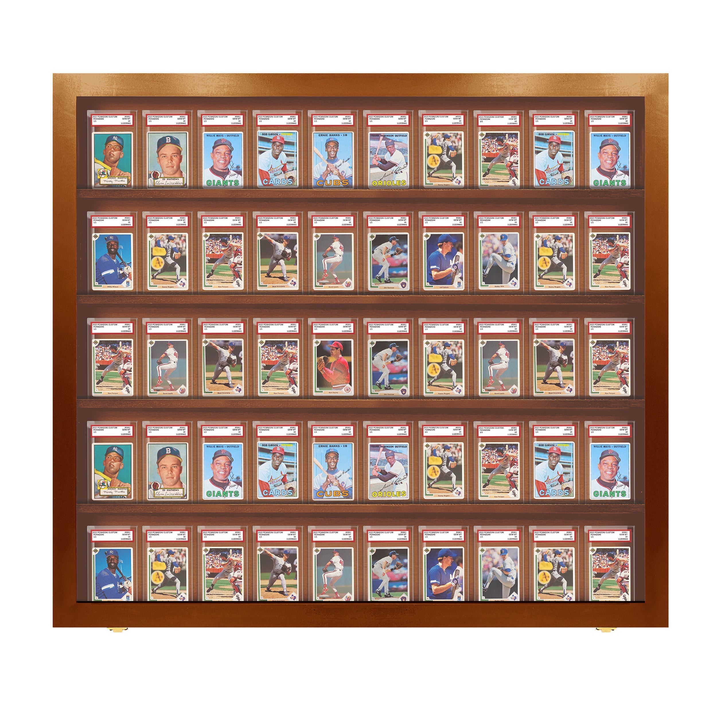 50-Slot Graded Card Display Case