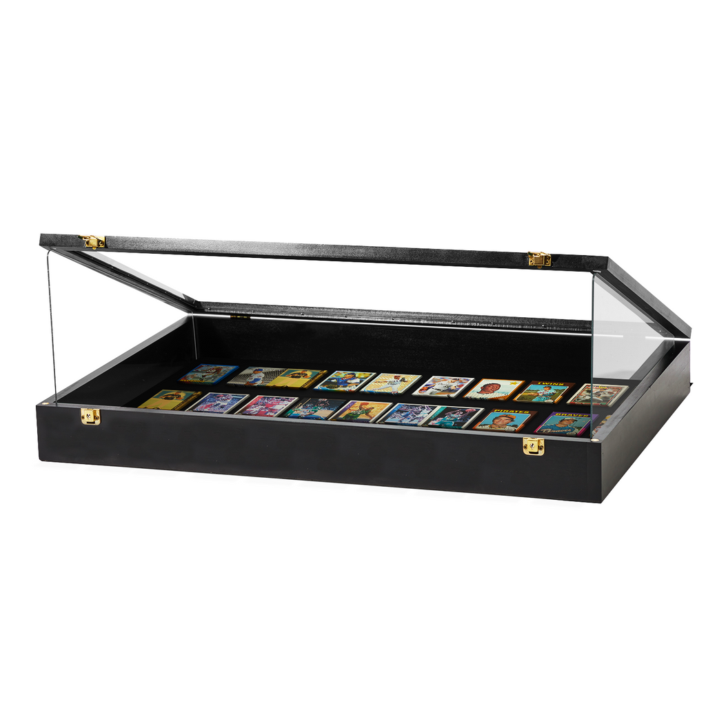 Portable Trade Show Card Display Case with Acrylic Lid
