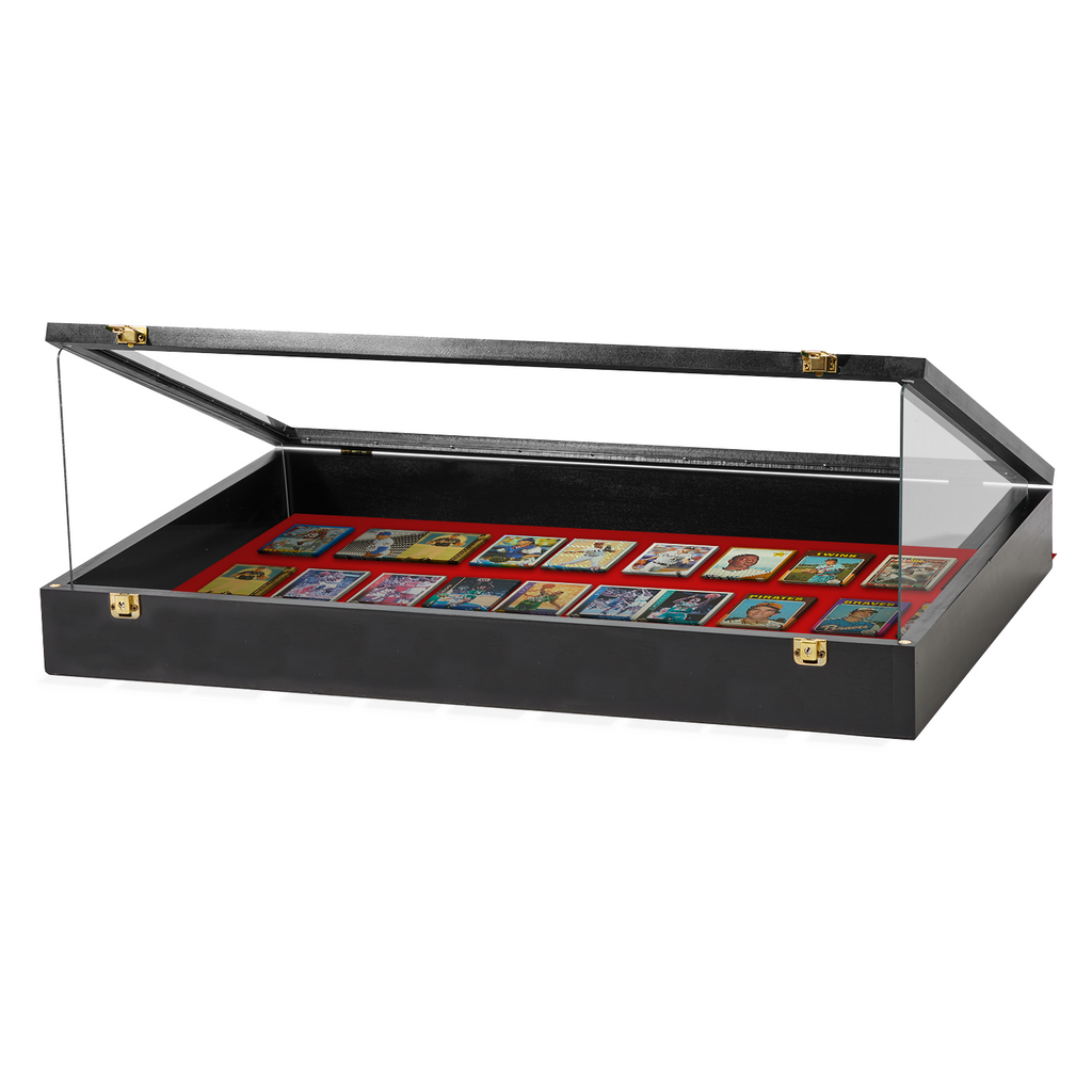 Portable Trade Show Card Display Case with Acrylic Lid