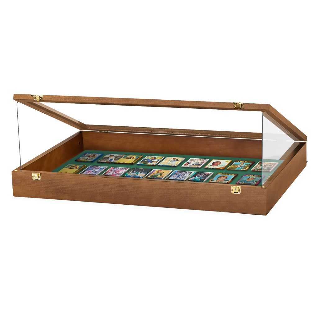 Portable Trade Show Card Display Case with Acrylic Lid